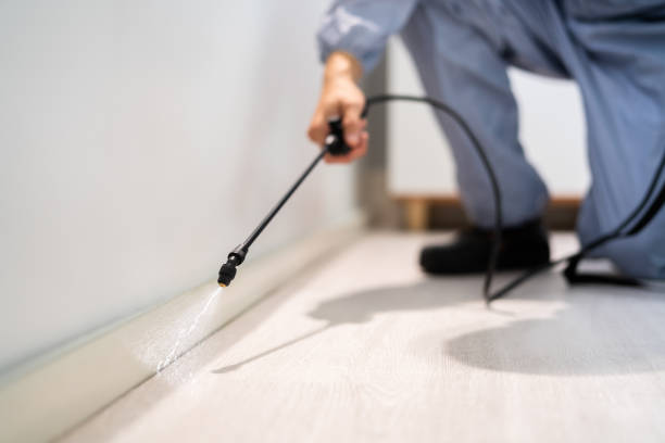 Professional exterminator conducting IPM assessment in Alvord