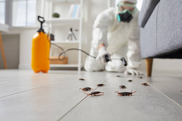 Commercial Rodent Management in Alvord